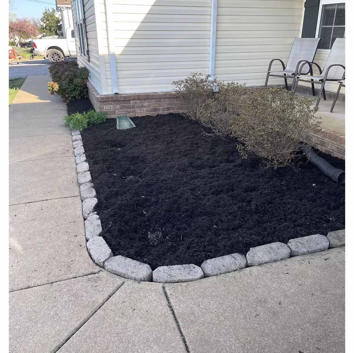 A garden bed with black mulch, gray border, and small bushes next to a sidewalk and house.