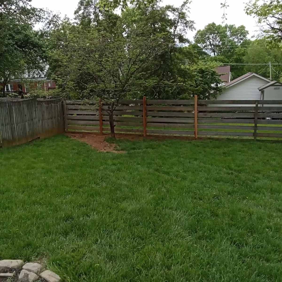 Lush green backyard with a wooden fence and a small tree.
