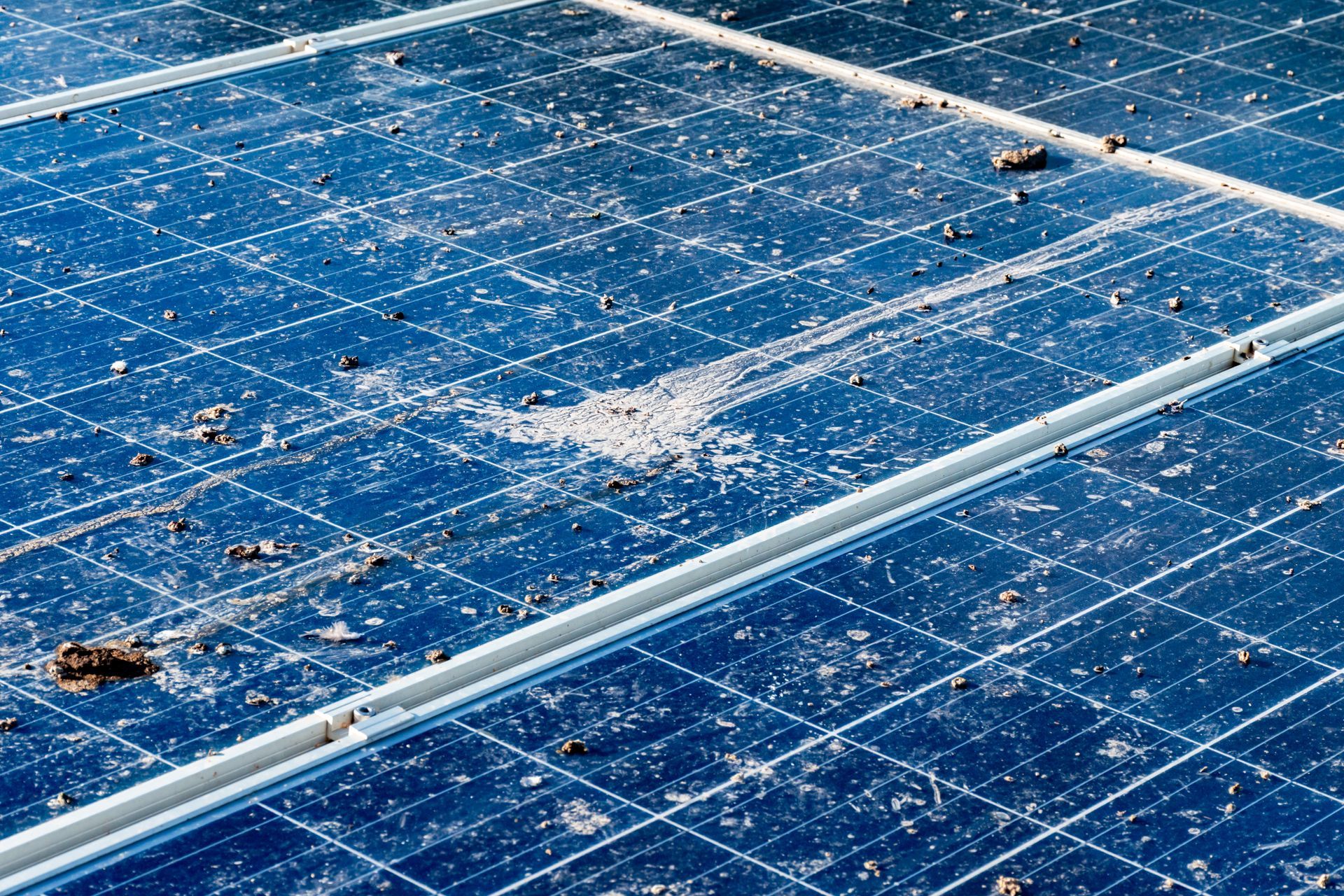 Dirty solar panels, heavily covered in bird droppings, dust, water streaks, and scattered feathers. Dirty solar panels, heavily covered in bird droppings, dust, water streaks, and scattered feathers.