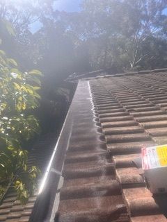 A roof with a gutter on it and trees in the background.