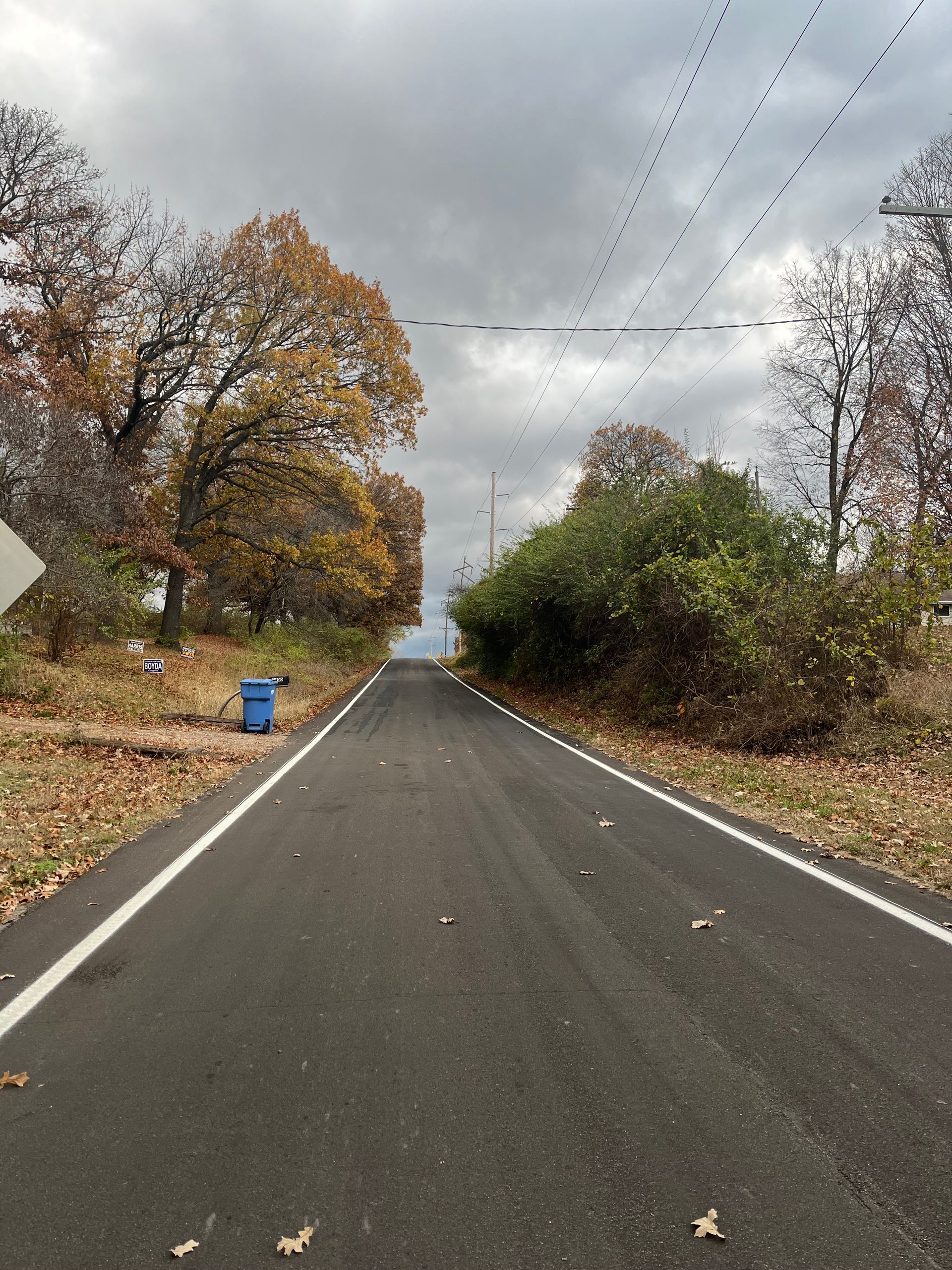 A road with trees on both sides and a blue trash can on the side