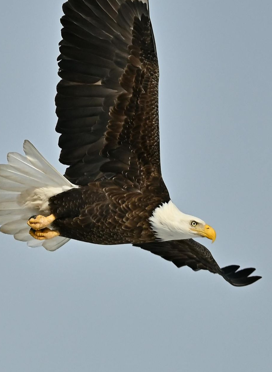 Four smiling colleagues in an office, holding papers and a laptop.