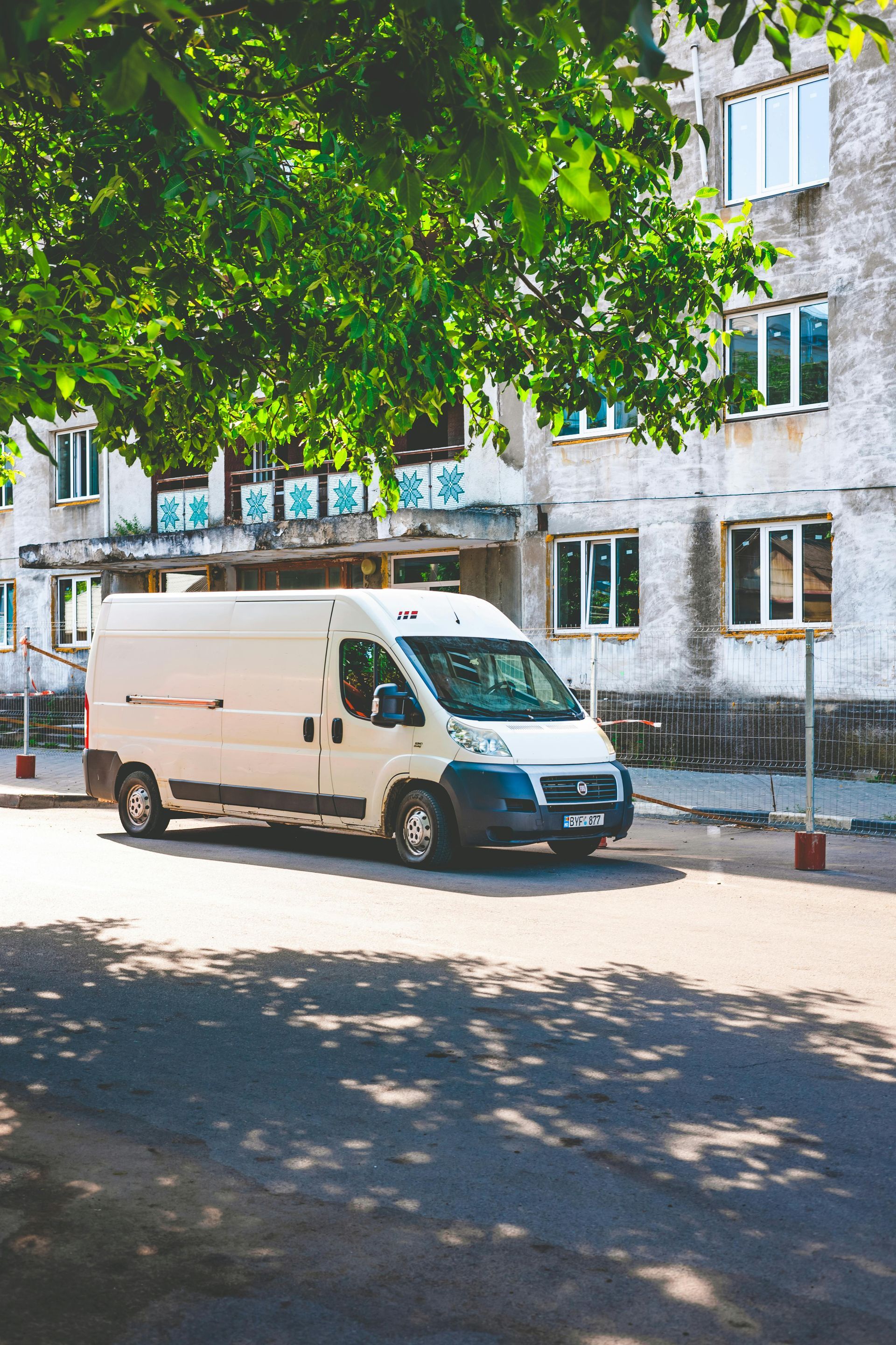 White van parked on a street in front of a building, under a tree.