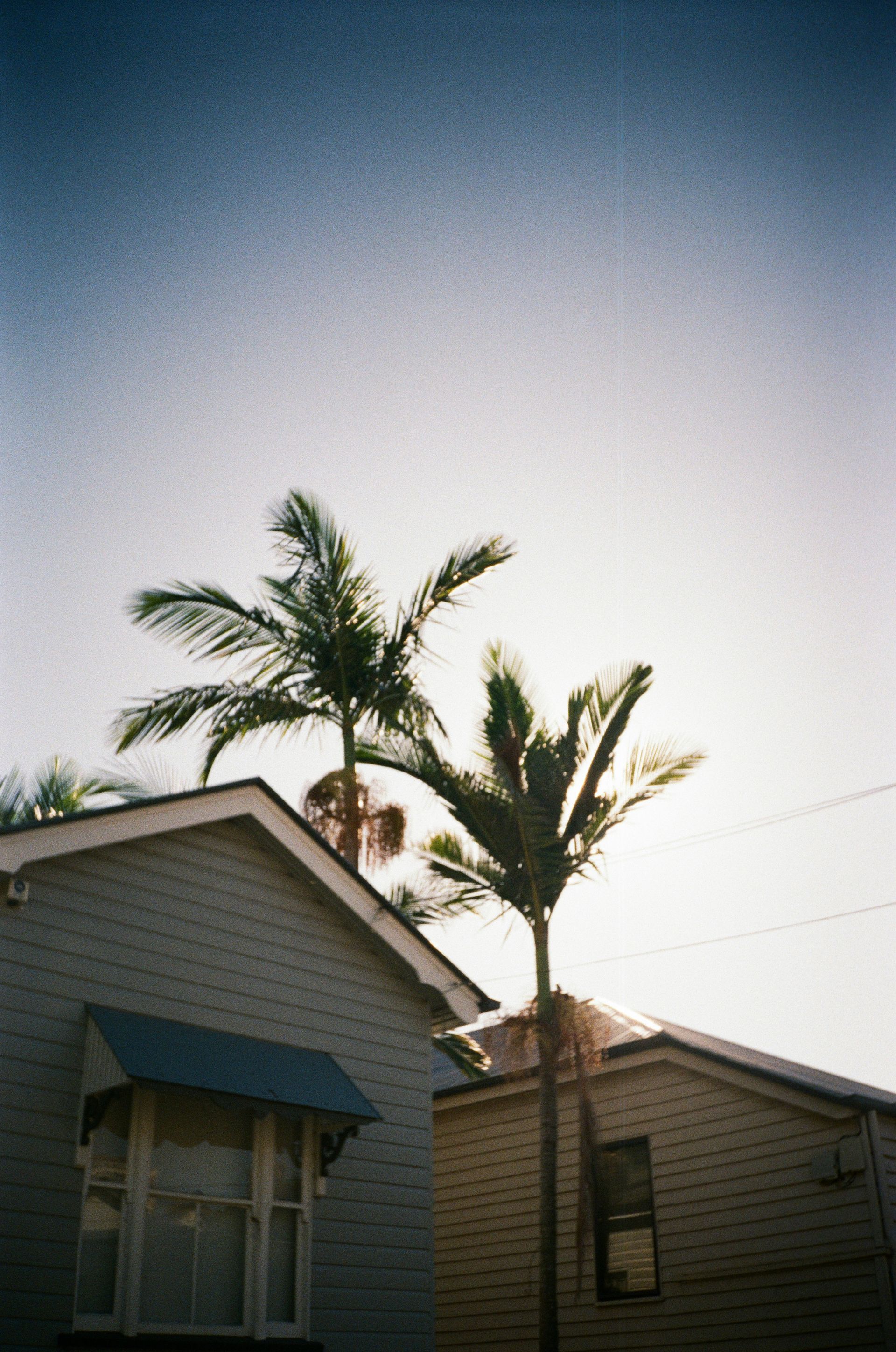 Houses with palm trees silhouetted against a bright sky.