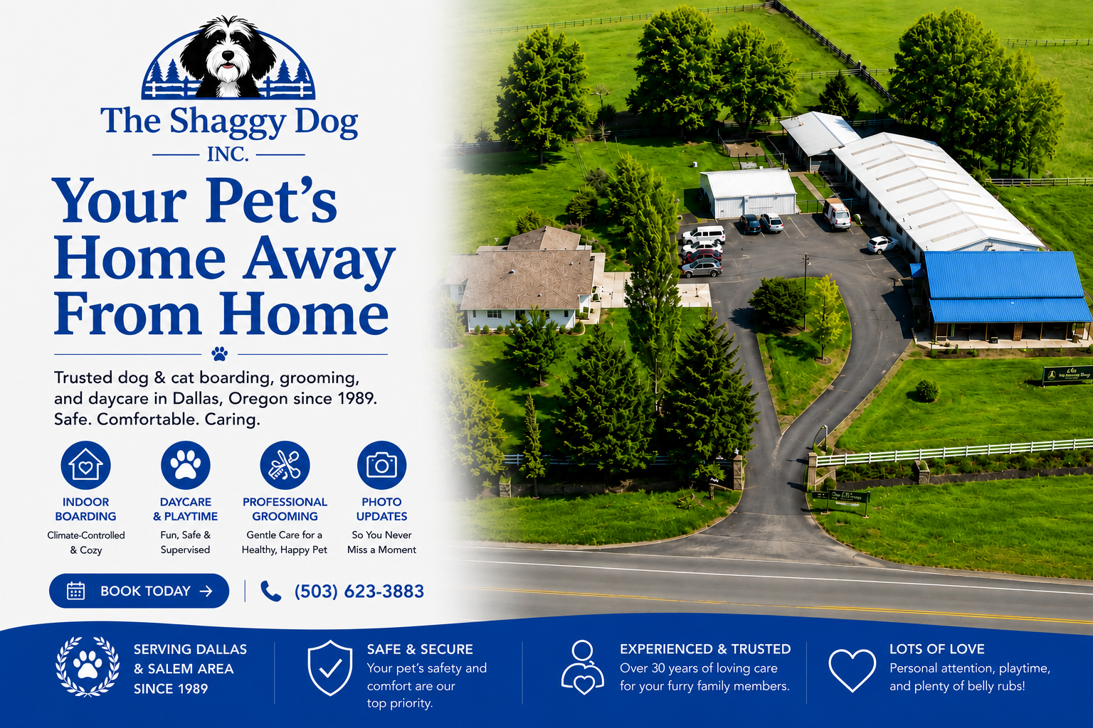 Aerial view of The Shaggy Dog pet boarding facility with blue-roofed buildings and lawn, beside promo text.