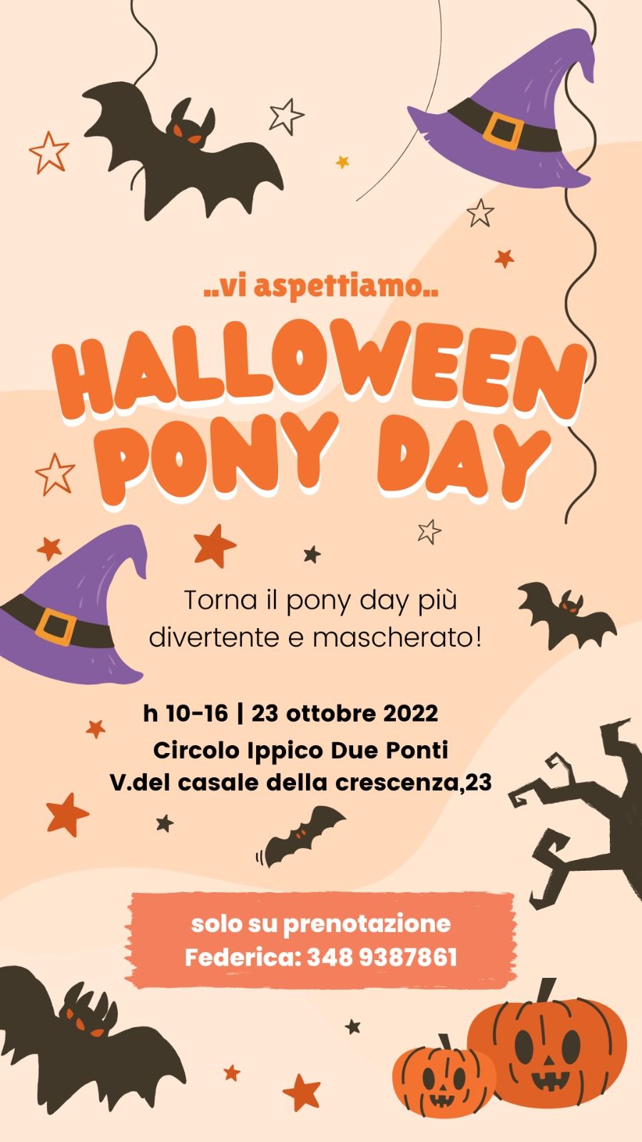 Halloween Pony Day