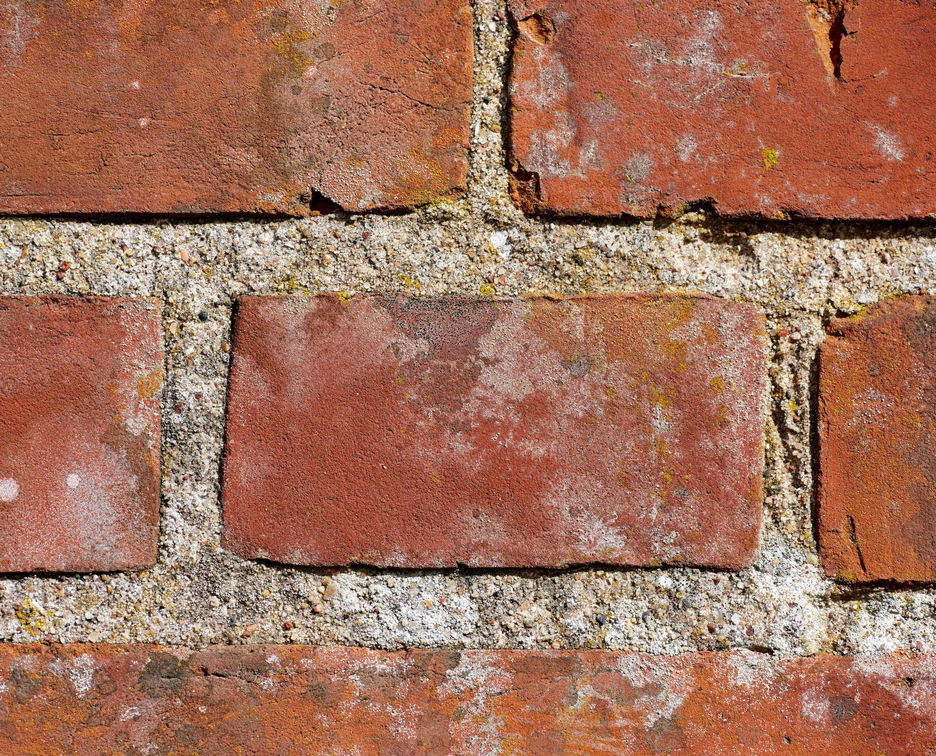 Close-up of a weathered red brick wall with gray mortar joints.