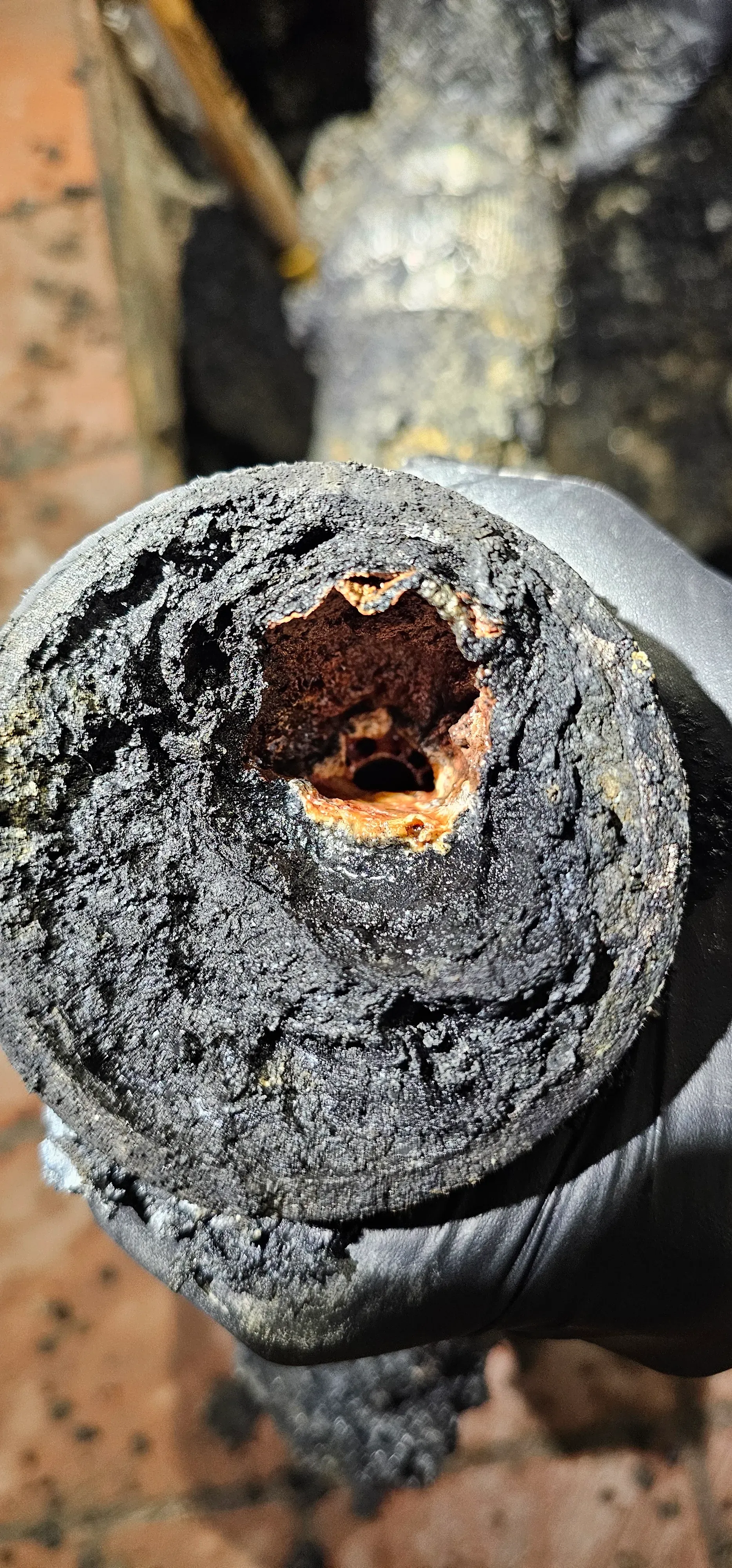 local Menifee plumber