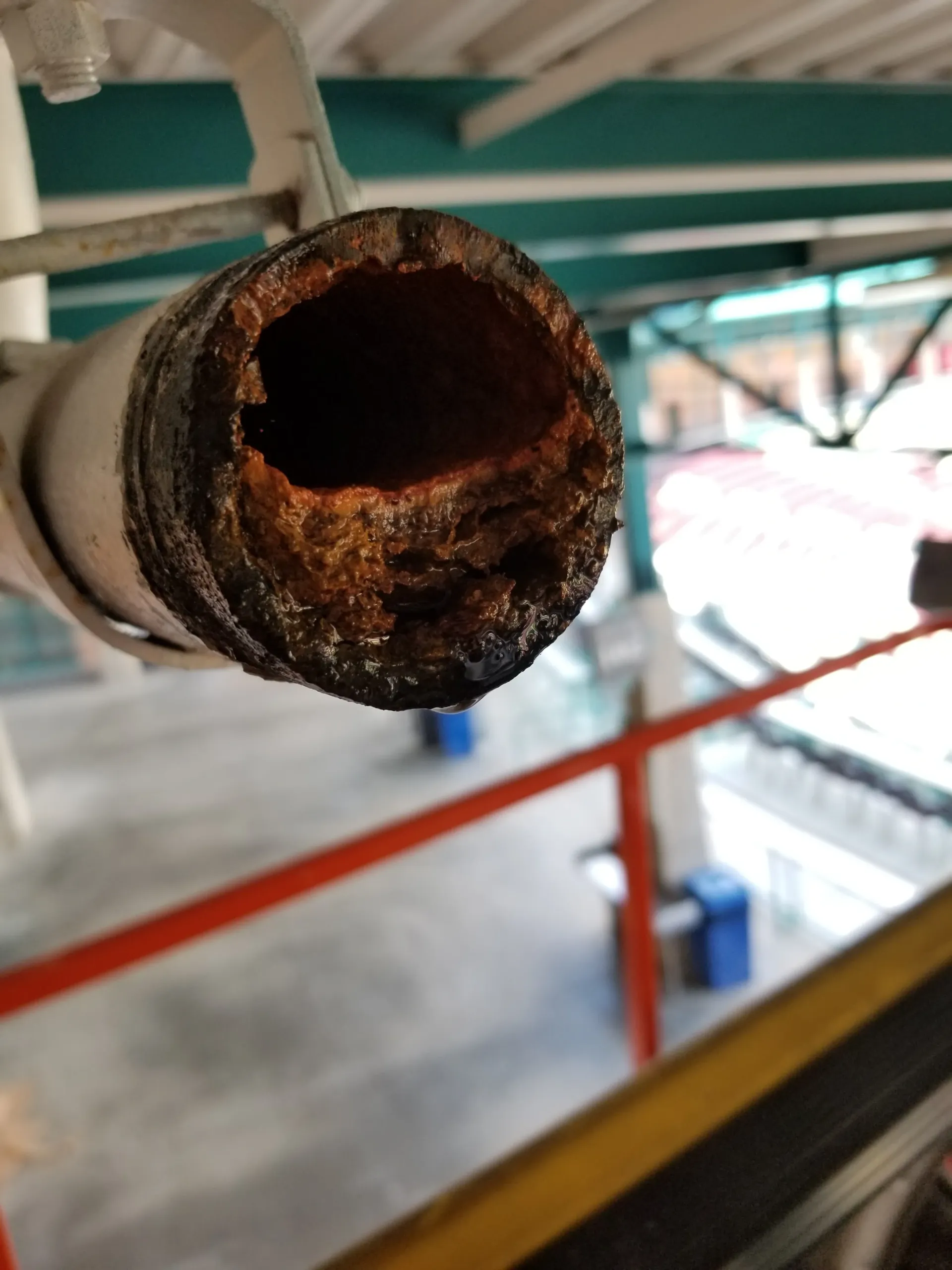 Licensed Menifee Plumber