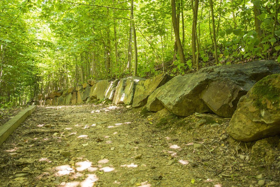 A dirt path winds through a sunlit forest, flanked by a rock wall on the right and trees on both sides.