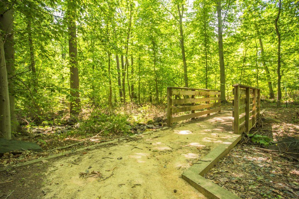 A wooden bridge spans a sandy trail in a sun-dappled forest.