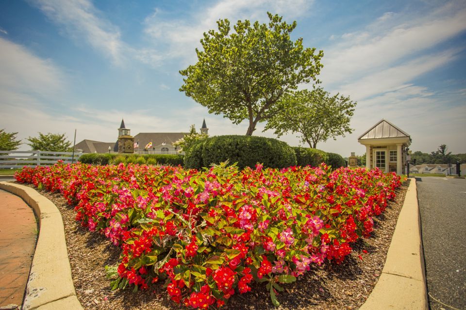 Flower bed with red flowers, green bushes and trees, blue sky, small building and white fence.