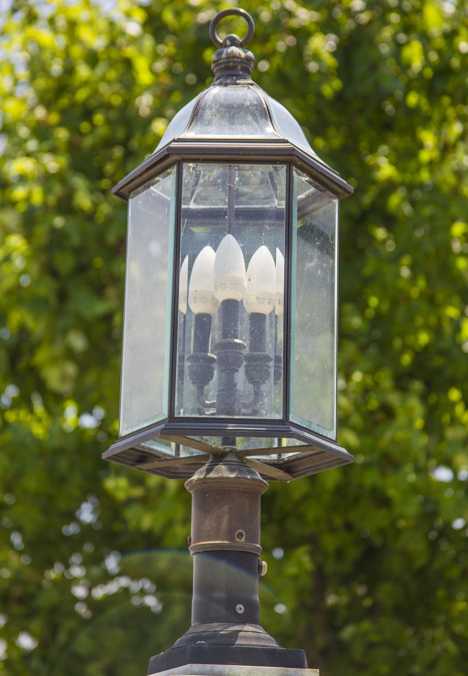 An antique-style street lamp with clear glass panels, holding three light bulbs, set against a blurred green tree.