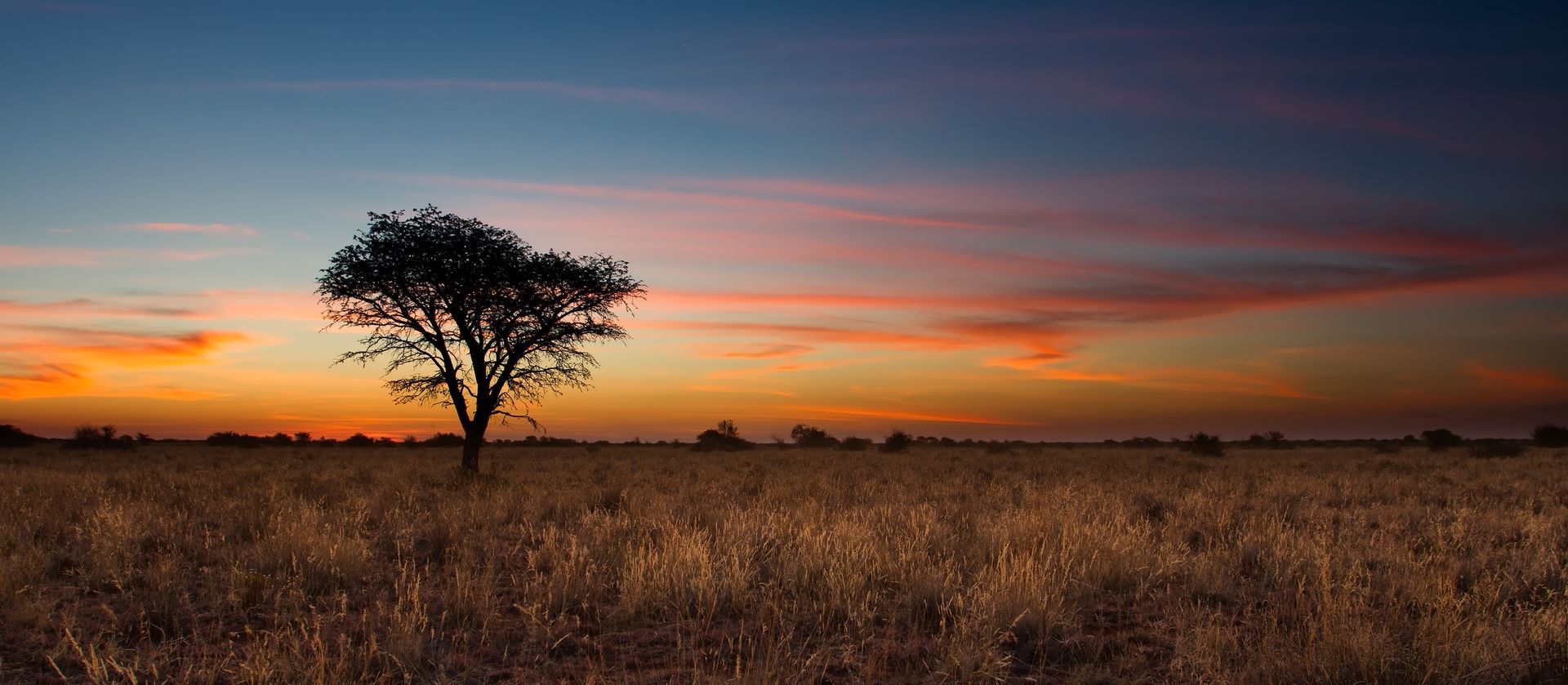 Foto Kalahari Woestijn bij zonsondergang