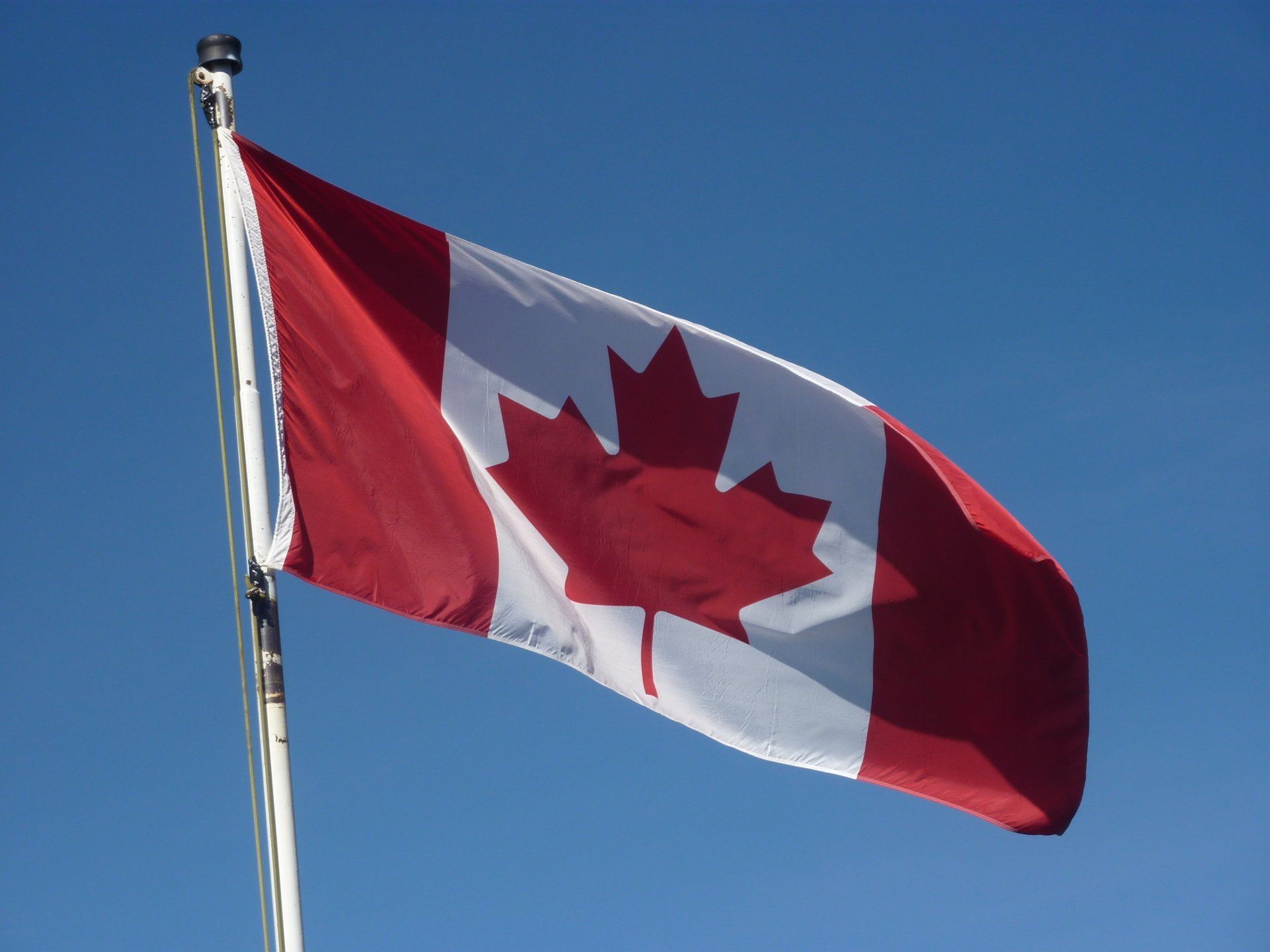 De Canadese vlag met een rood esdoornblad en witte vlakken wappert tegen een helderblauwe hemel.