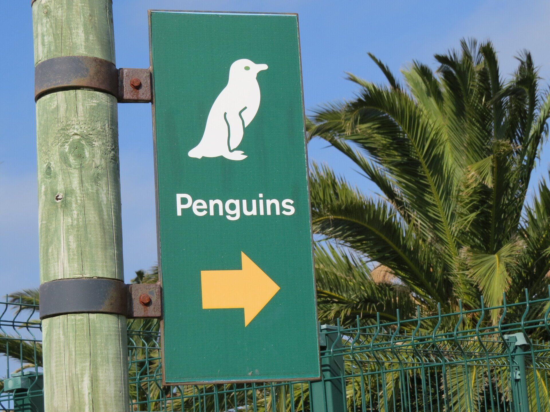 foto met bord met waar de pinquins zijn op strand