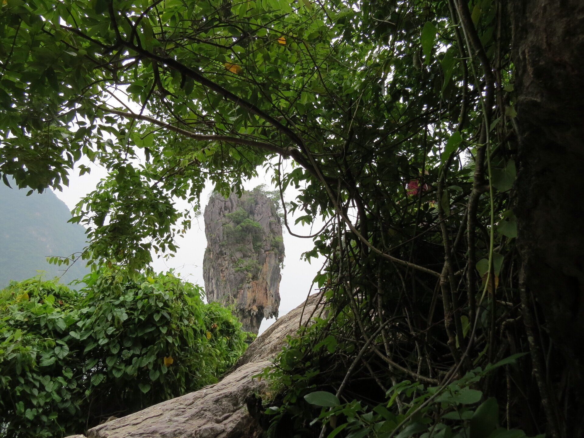 Kalksteenrotsformaties te midden van weelderig groen gebladerte.