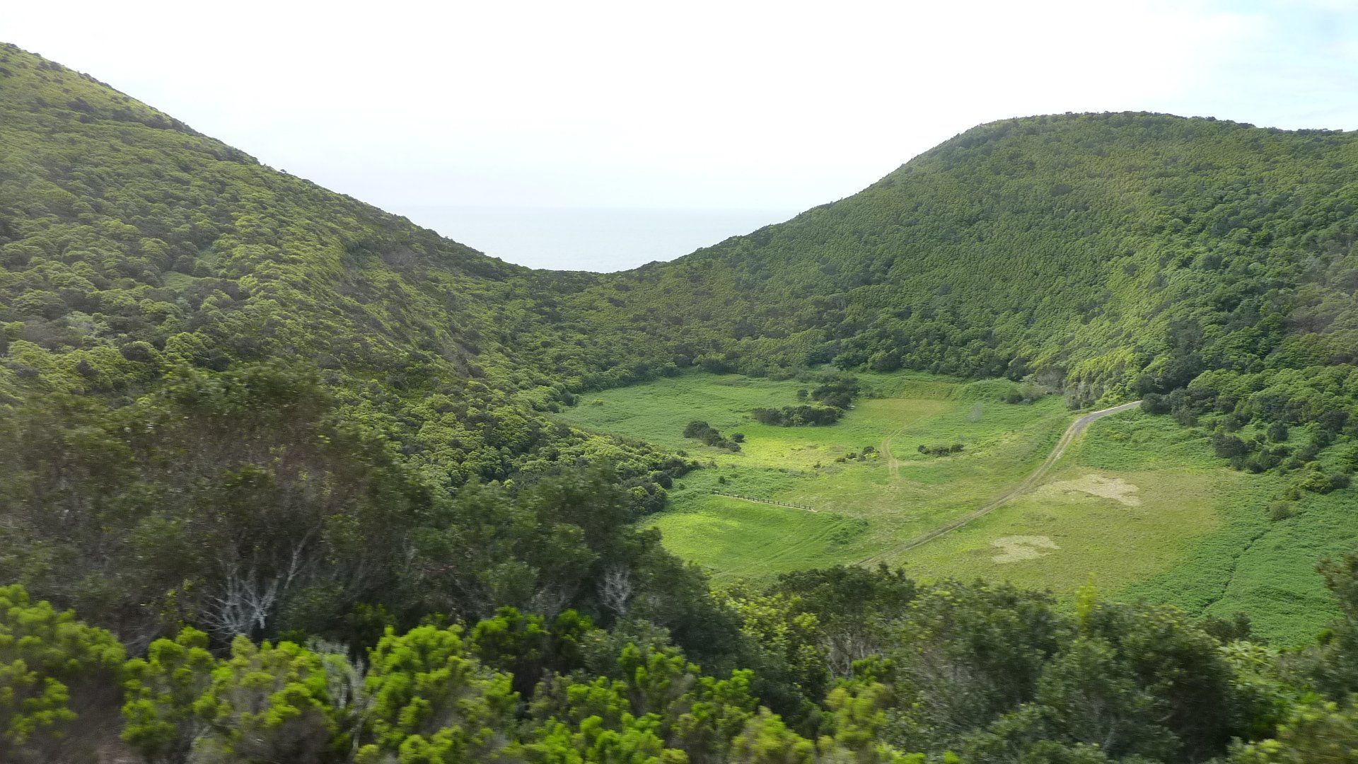 Groene, beboste heuvels omringen een open, grasrijke vallei; in de verte is de oceaan zichtbaar.