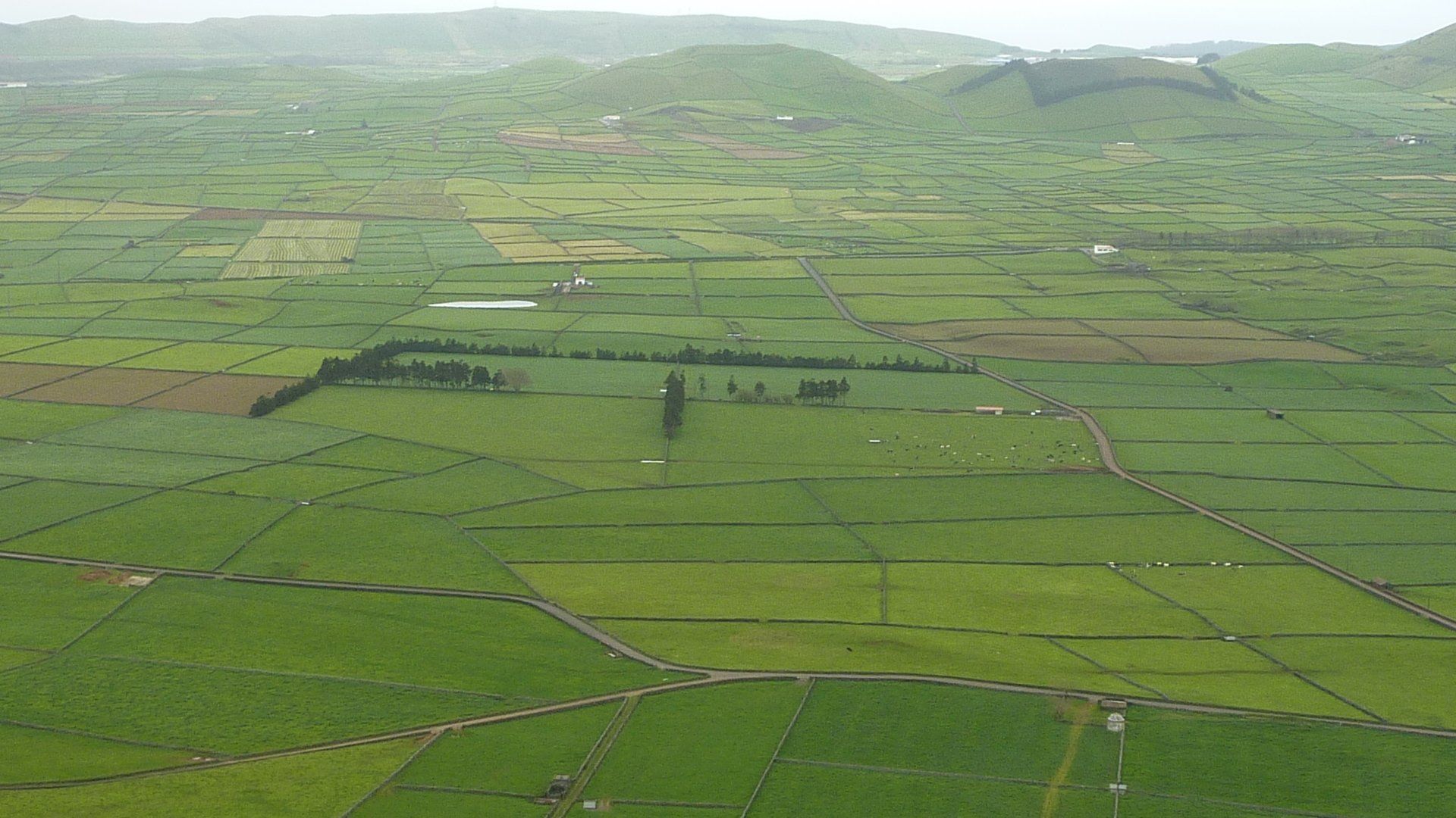 Groene landbouwvelden met heuvels in de verte onder een wazige hemel.