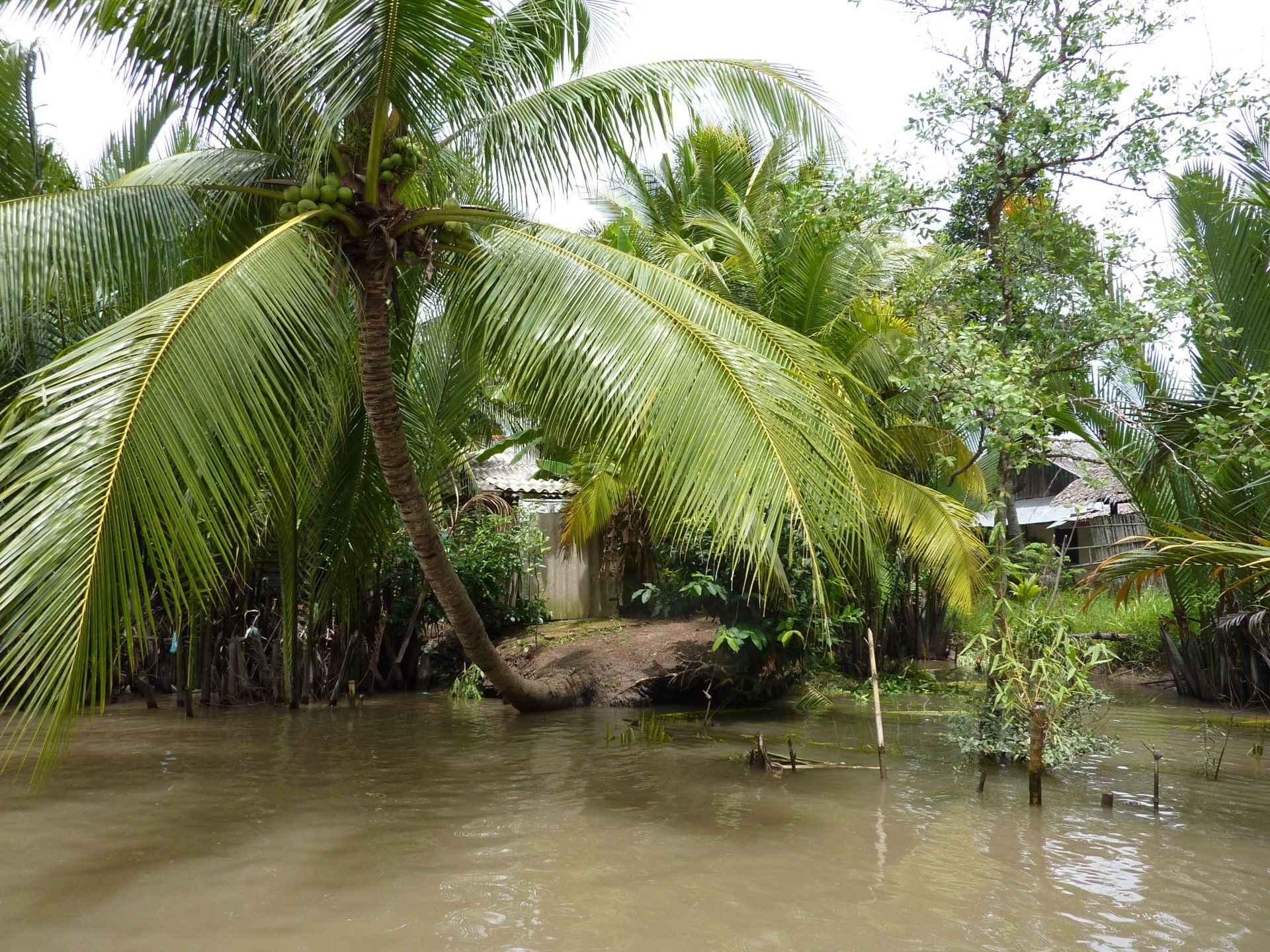 foto van rivier in de jungle genomen door Bart Limburg