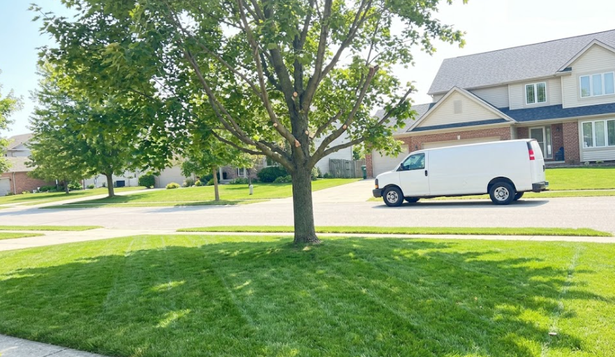 A beautifully trimmed front yard tree in Spokane WA with all branches and debris completely cleaned up by A1 Tree Service.
