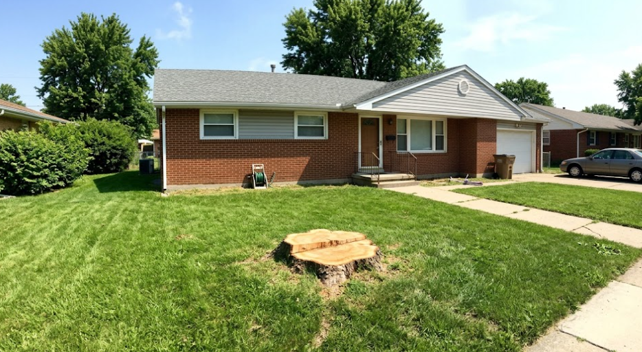 A clean front yard after a successful and safe tree removal service showing no damage to the grass.