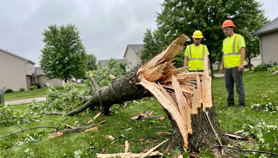 A professional bucket truck being used by A1 Tree Service to safely remove a dangerous broken pine tree branch hanging over a house in Spokane.