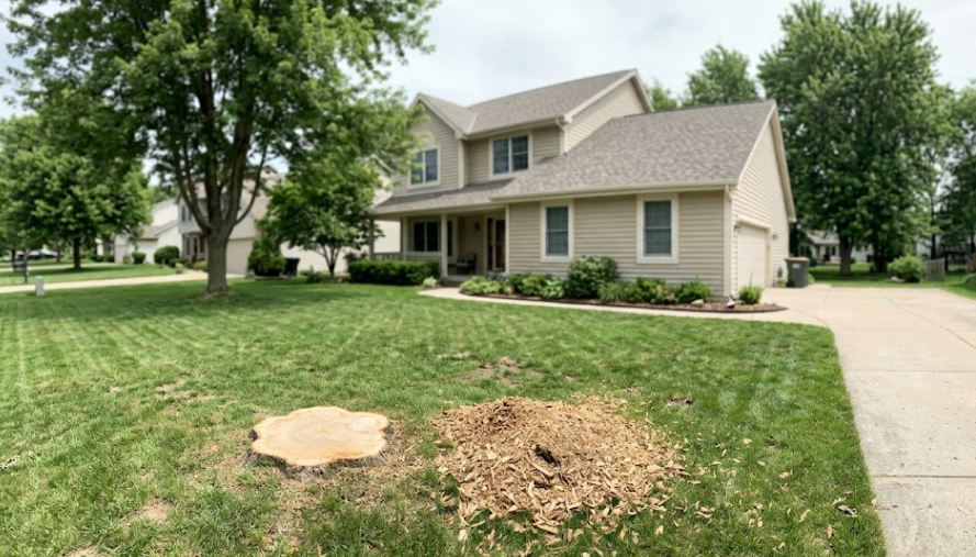 A clean suburban front yard with a fresh tree stump and a tidy pile of wood chips, showing the neat cleanup process after an emergency tree service.