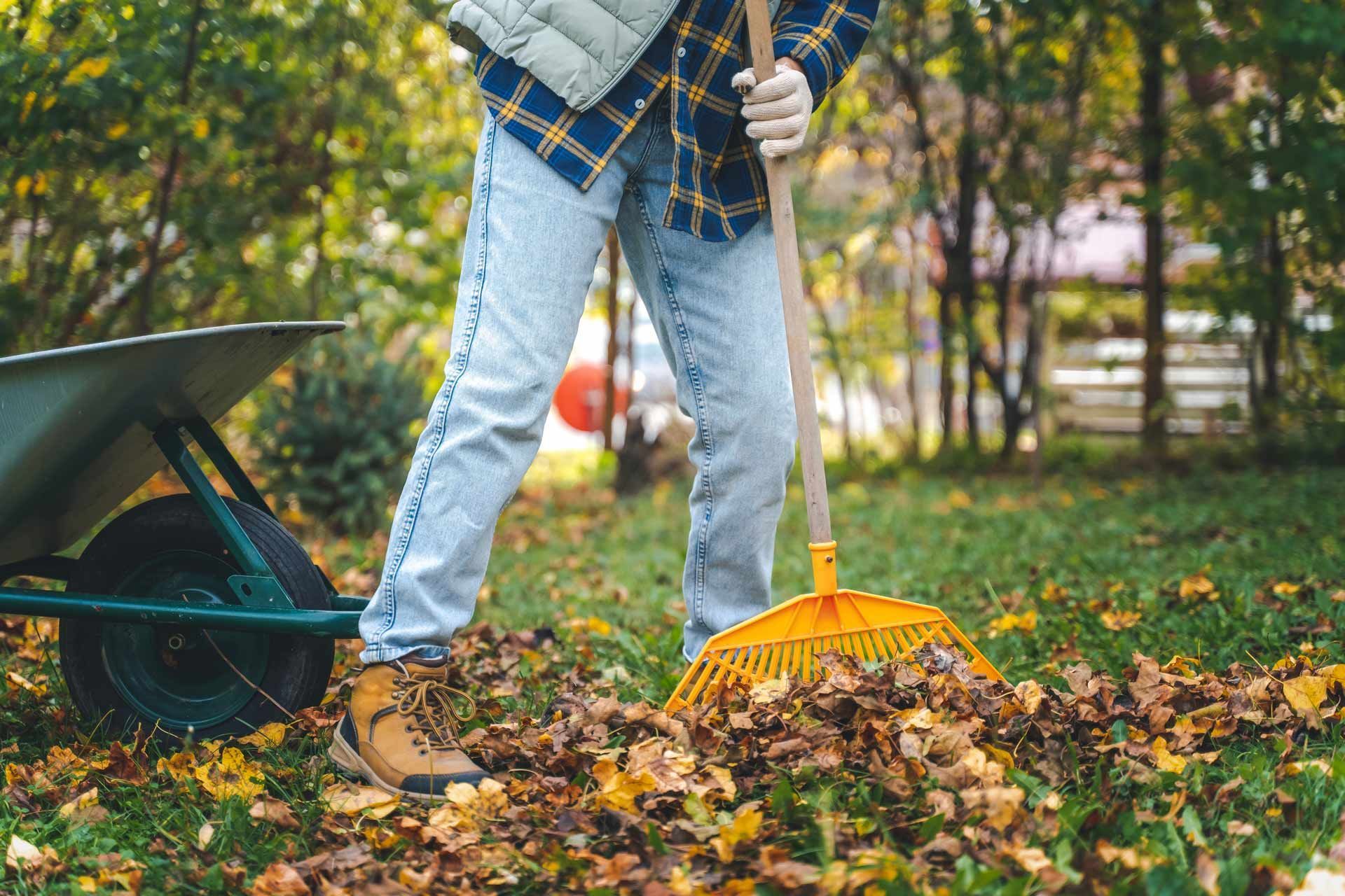Yard and Garden Cleanup