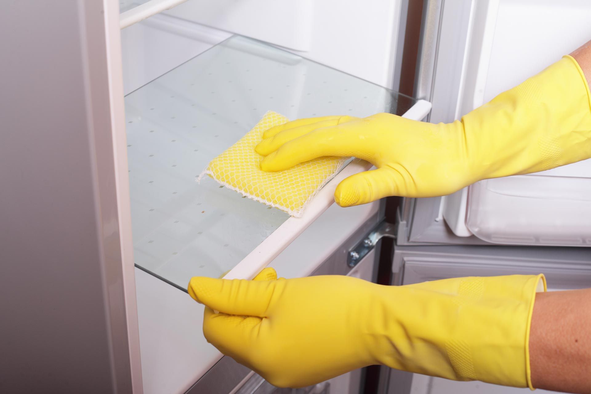 Fridge Cleaning