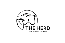 The herd