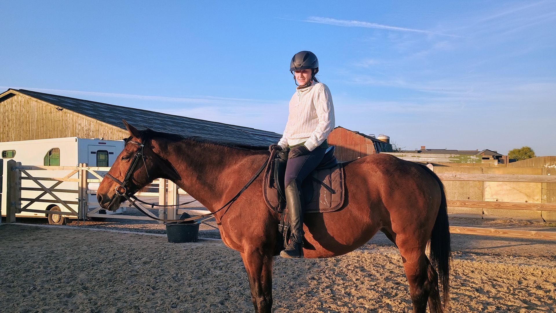 Enseignement équitation Namur
