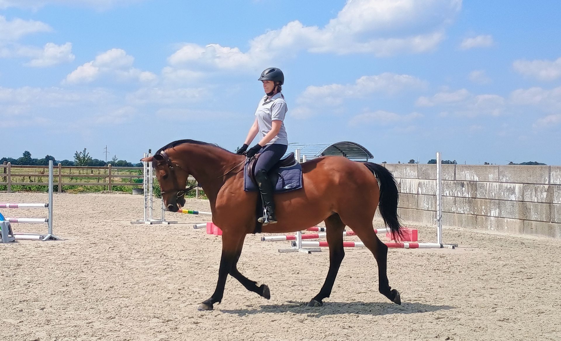 Enseignement équitation Namur