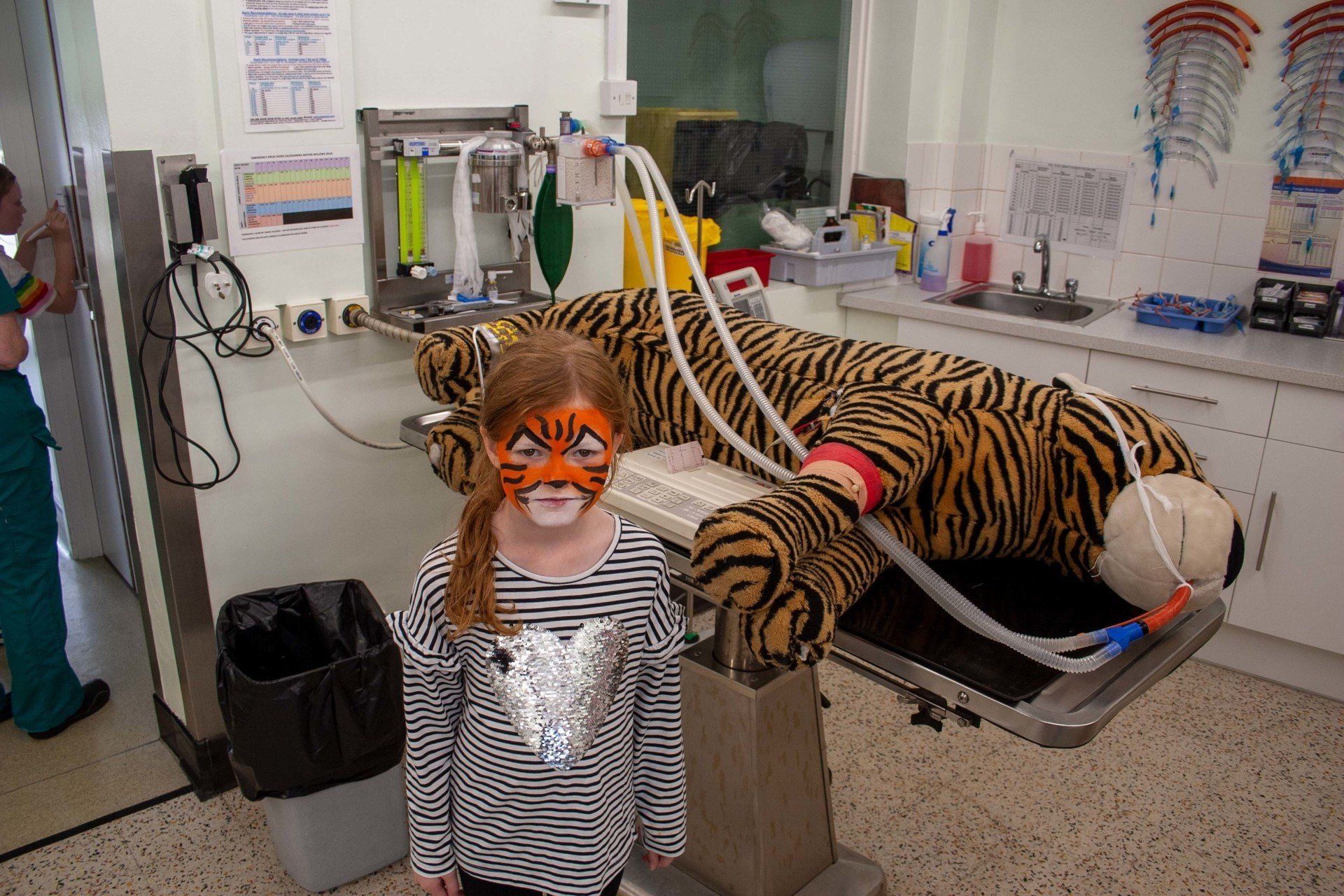 Young girl poses next to tiger having anaesthetic