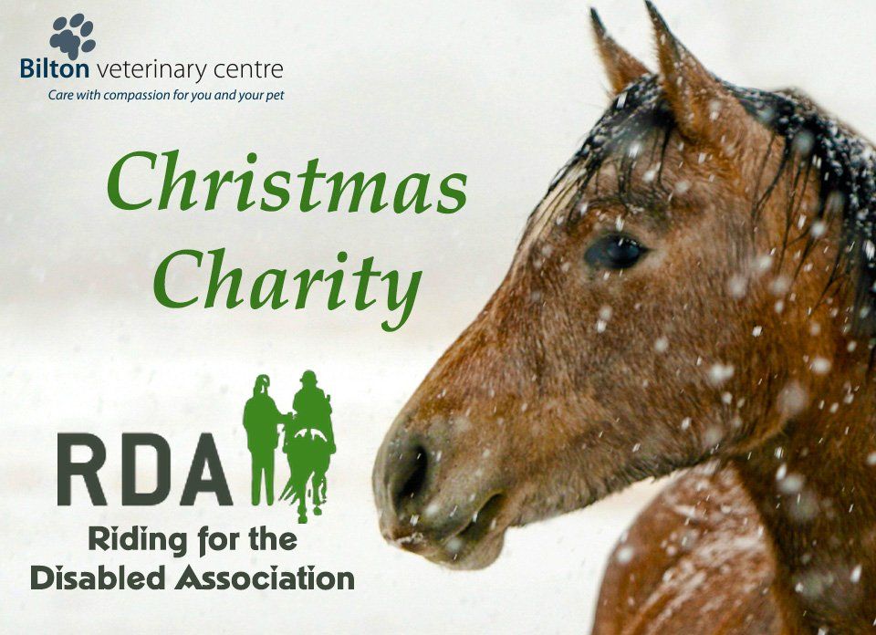 Riding for the Disabled Christmas Charity
