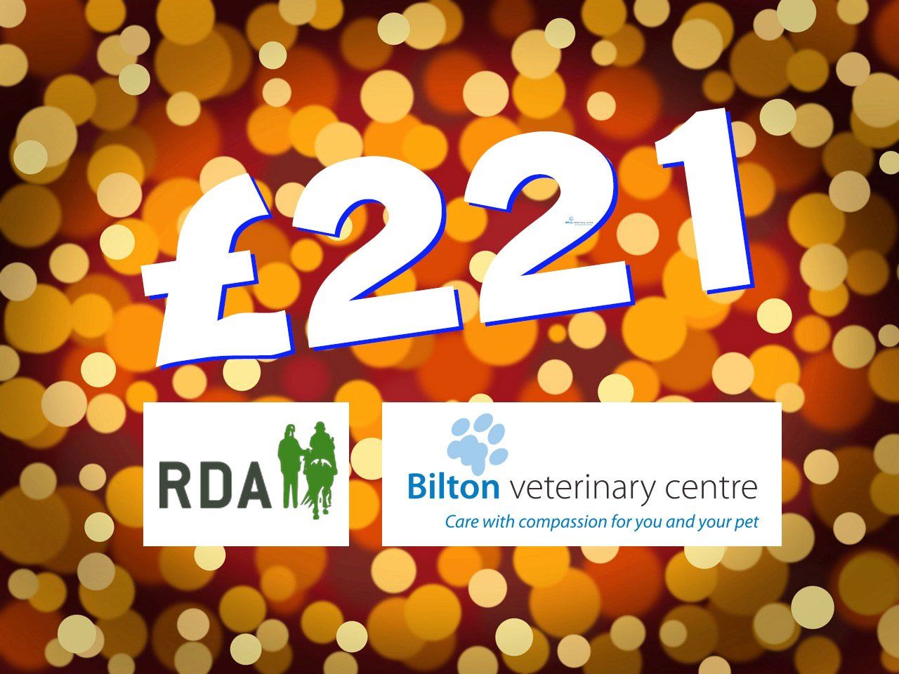 £221 pounds has been raised for the RDA.