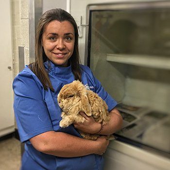 Verity Browning - Veterinary Surgeon