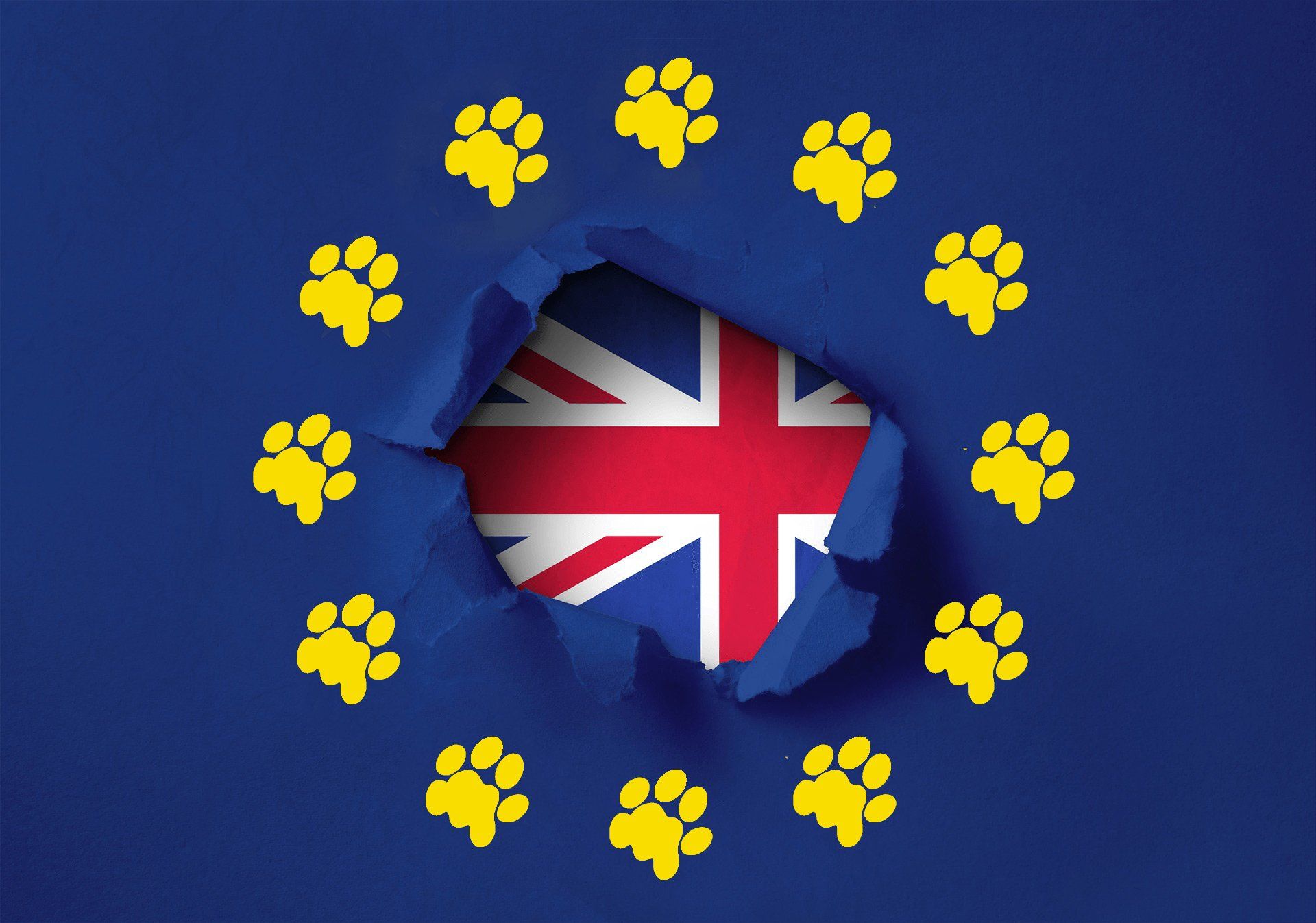 Brexit and limitation with pet travel