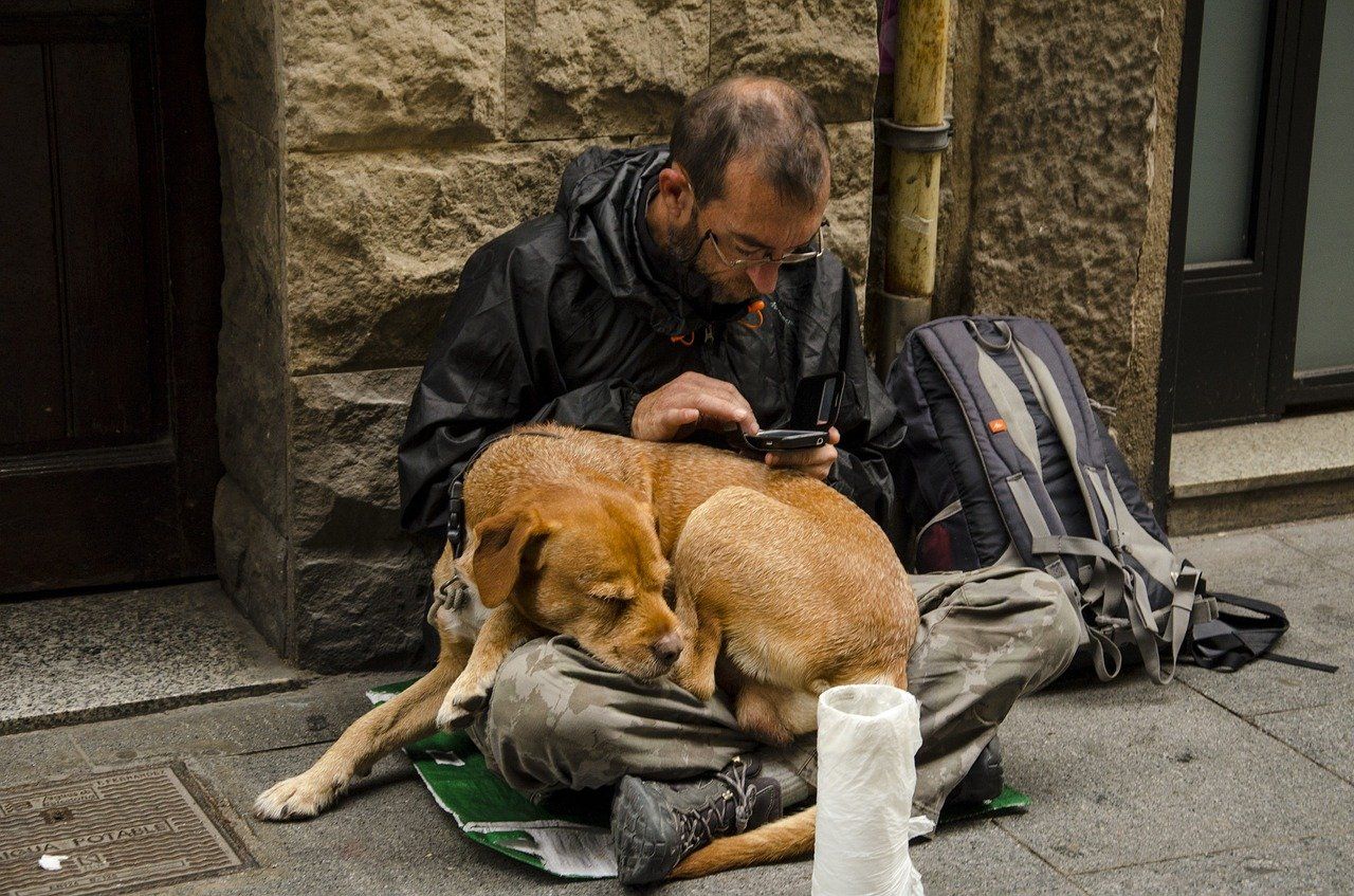 Homeless person with his dog