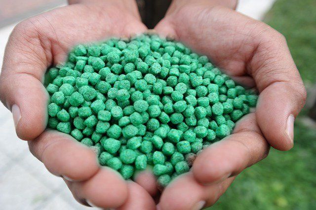 Handful of green rat bait pellets