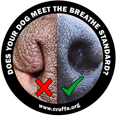 Does your dog meet the BREATHE standard?