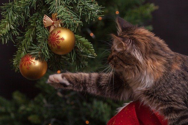 Cat batting Christmas Bauble