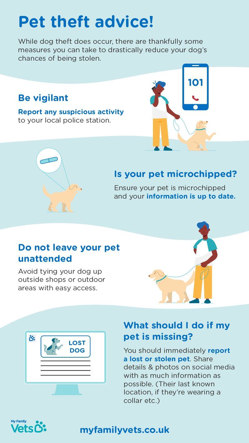 Pet Theft Advice infographic