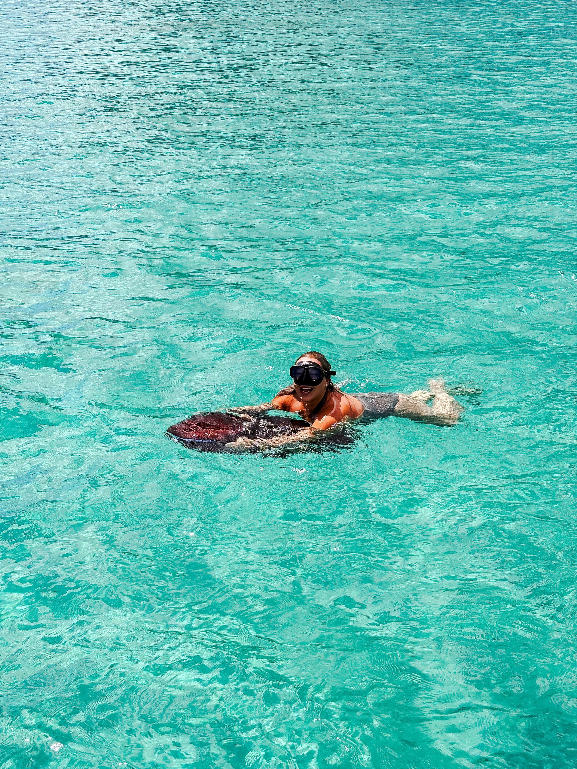 Person snorkeling with a board in turquoise water.