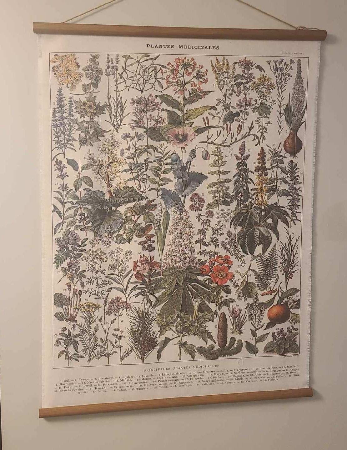 A vintage botanical chart of medicinal plants is displayed on the wall at Marija's wellness studio in Summerville, SC.