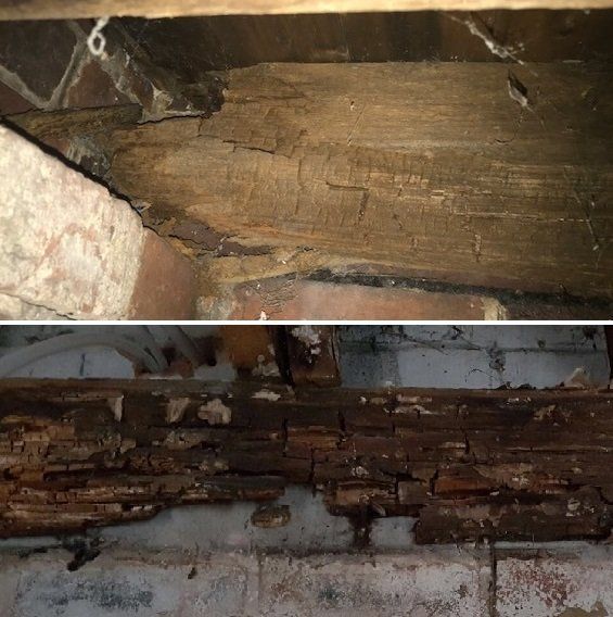 woodworm treatment 