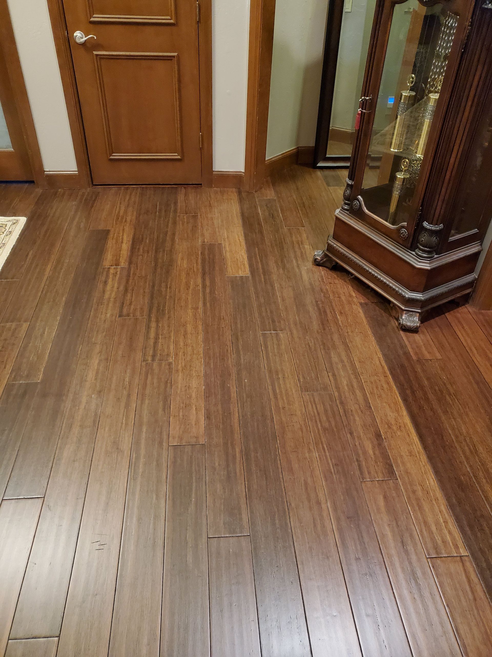 Wooden hallway floor with a closed door and a decorative display cabinet