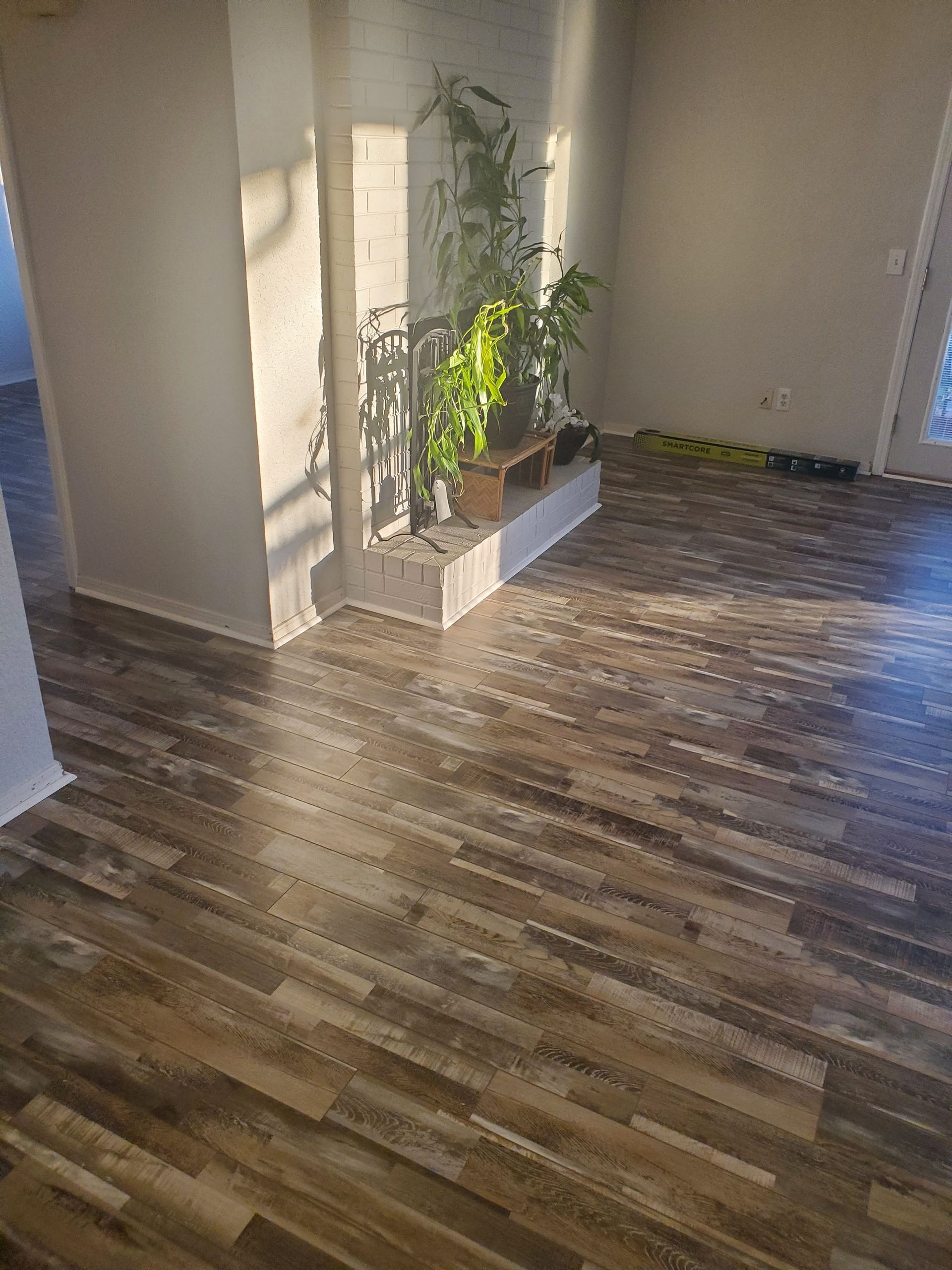 Bright room with wood flooring, a potted plant by the wall, and sunlight casting shadows.