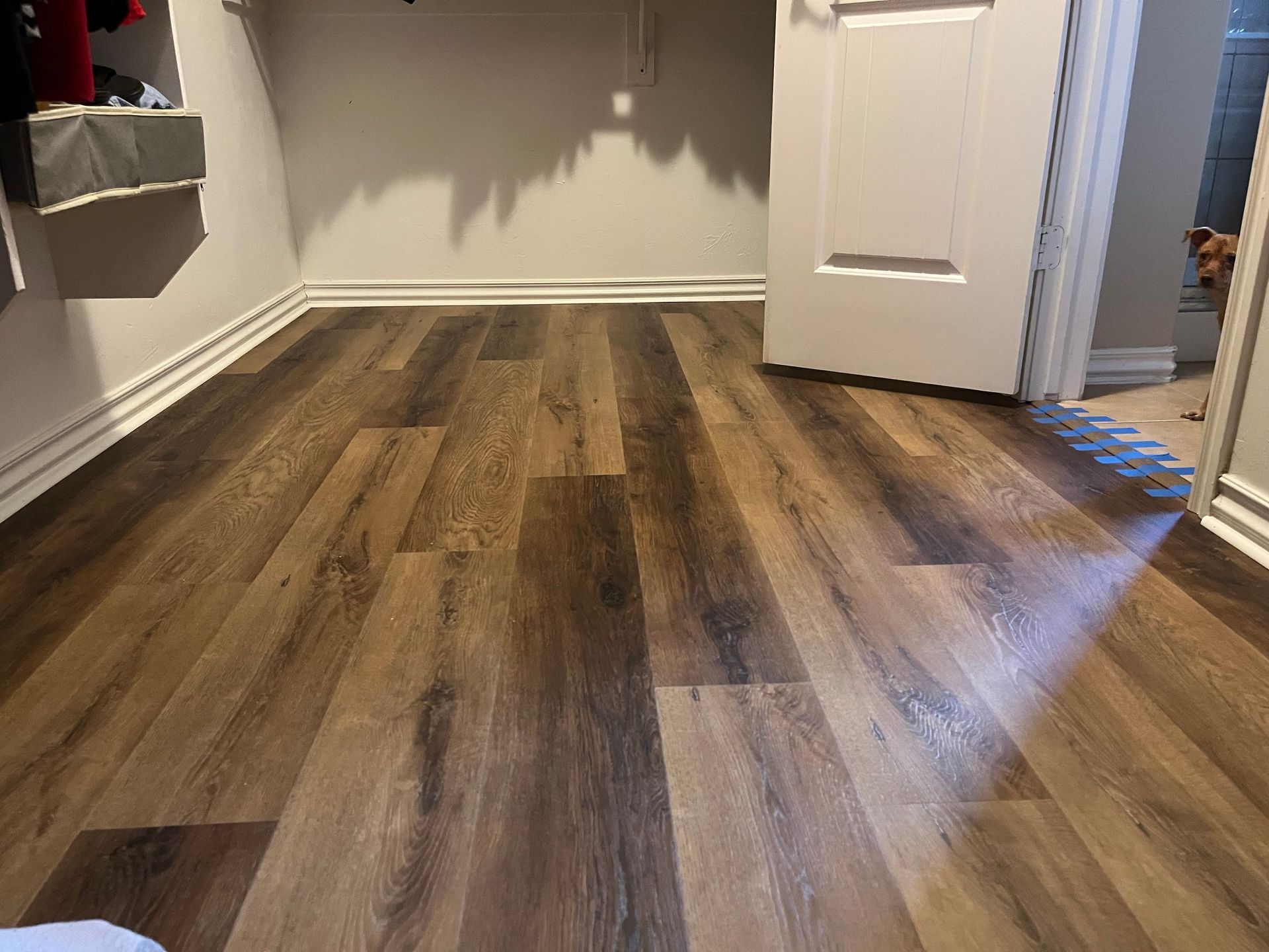 Empty room with wood plank flooring, gray walls, and an open white door.