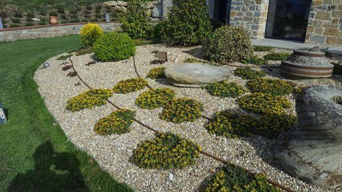 Decorazione con piante di un giardino